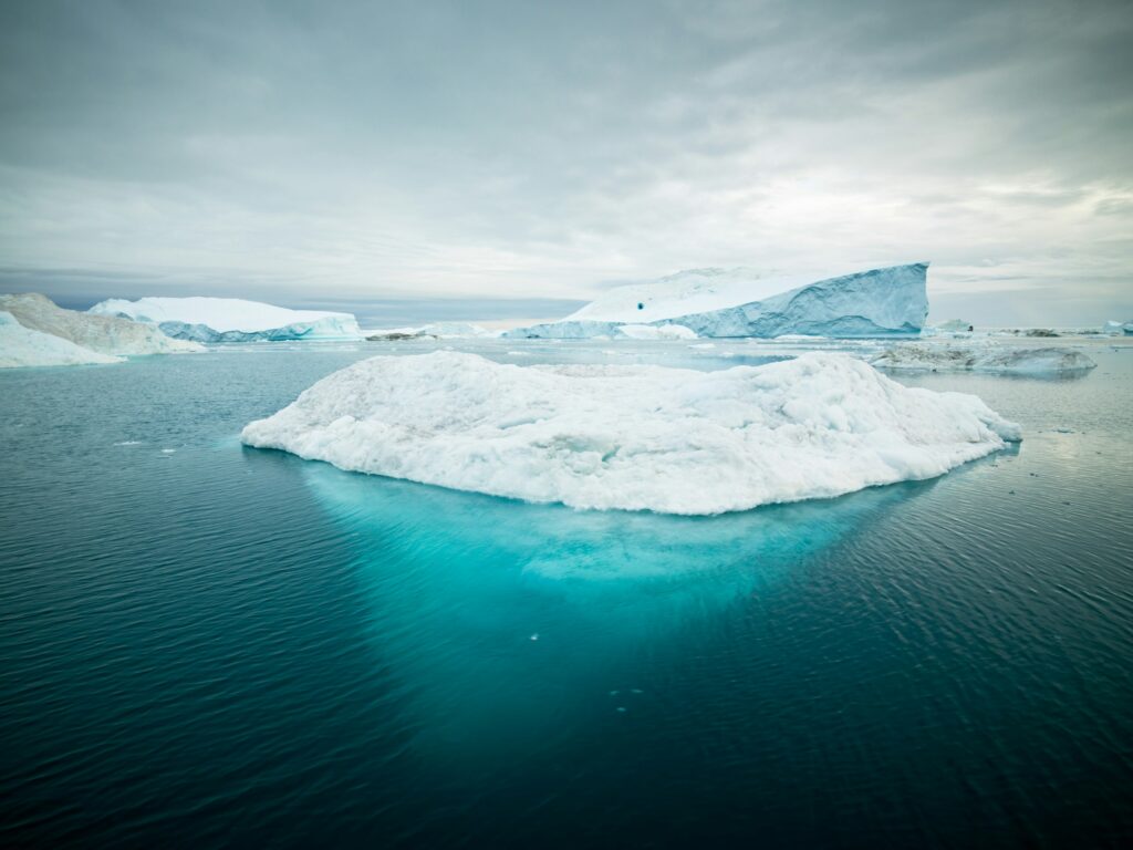 Icebergs Float