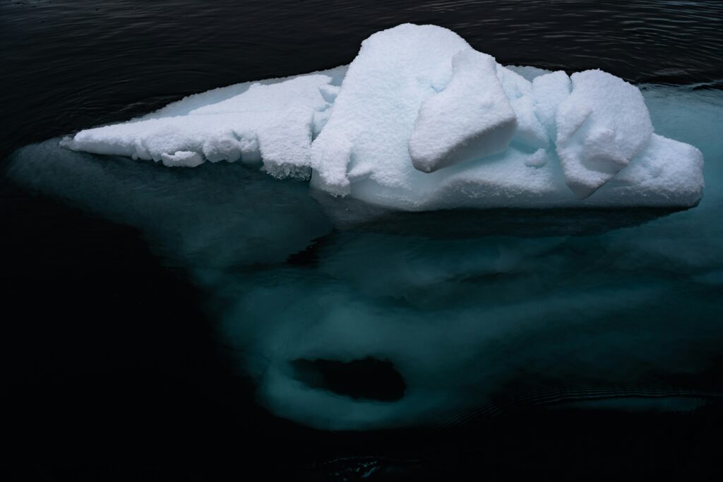 Icebergs Float