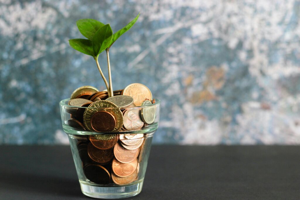 Save Money on Low Income