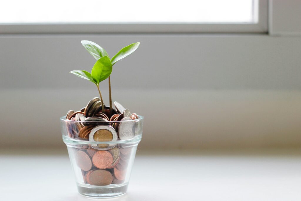 Smart Budgeting for Everyone
