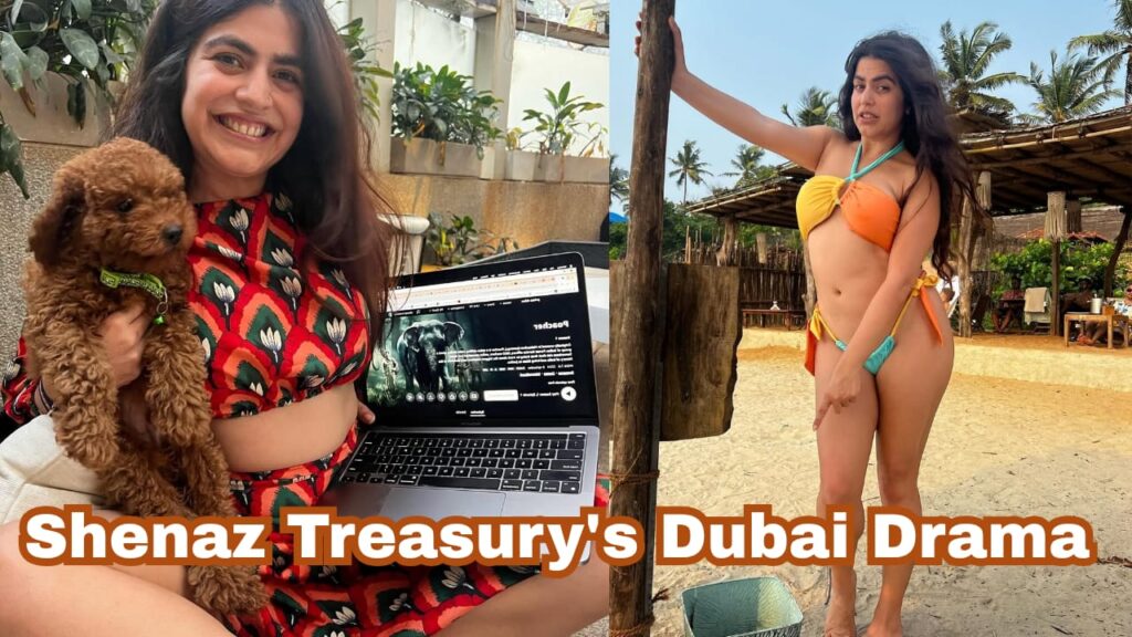 shenaz treasury