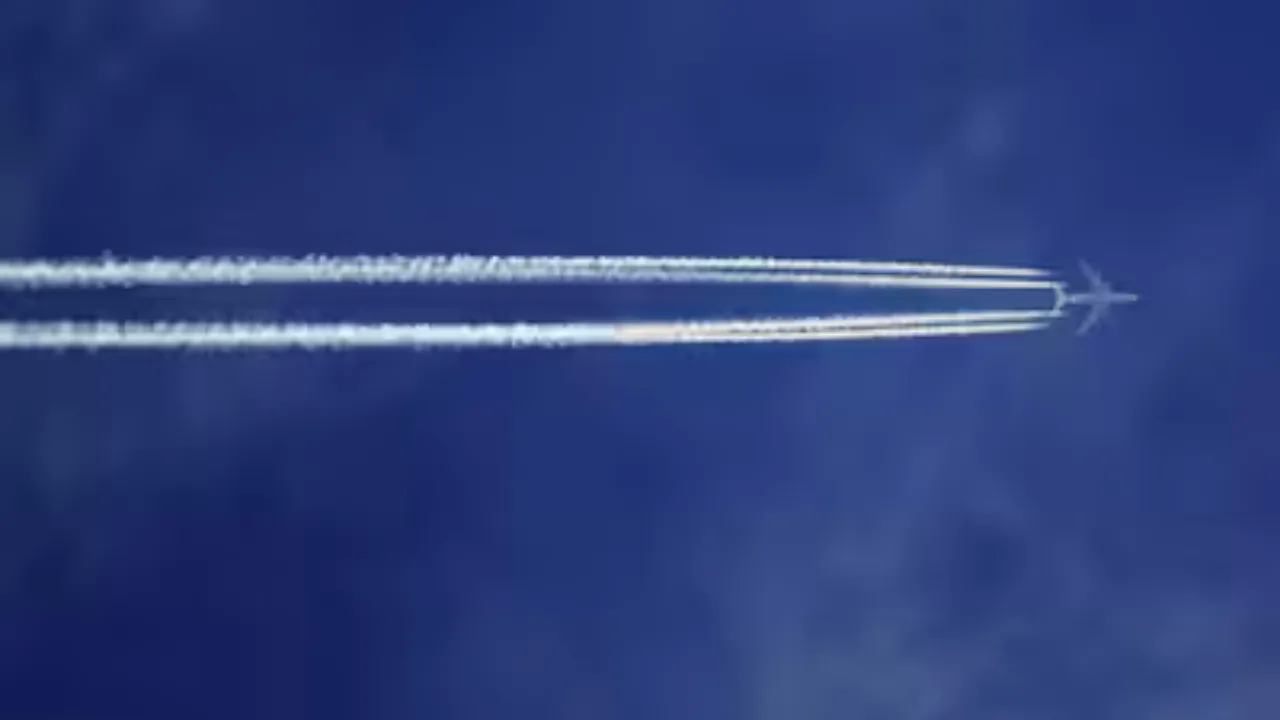 white line