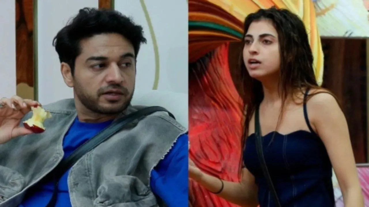 Bigg Boss 19 Day 100