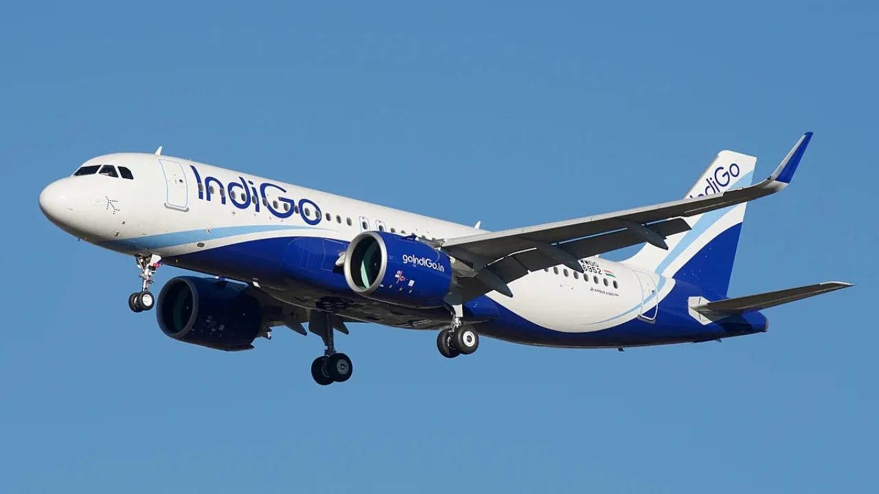 Indigo Flight